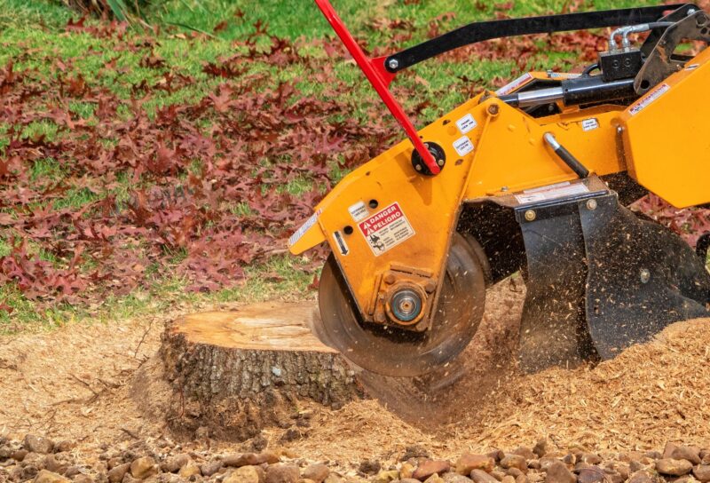 Orange and yellow stump grinder cutting a stump
